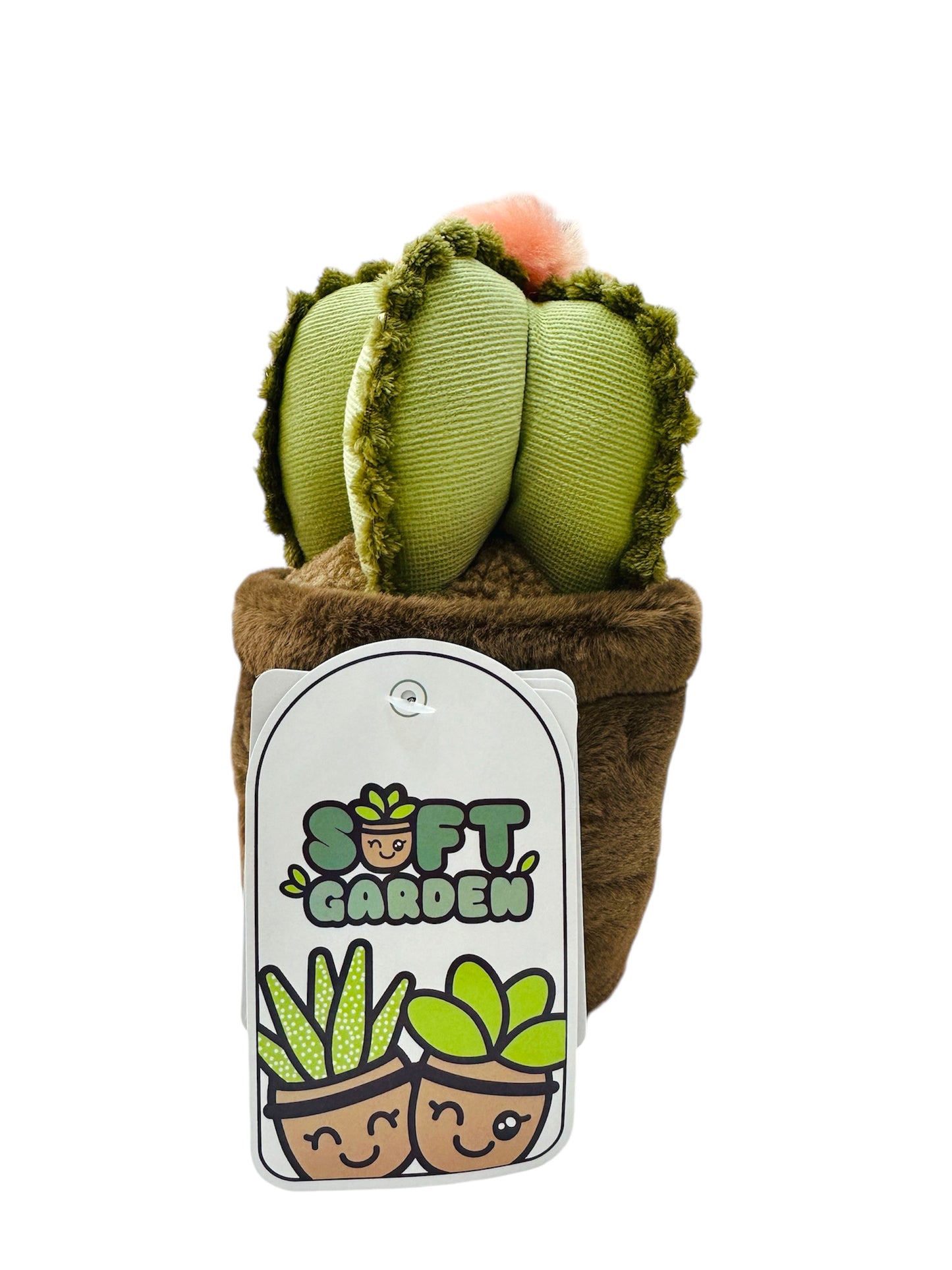 Caja dulce con Peluche soft Garden- Cactus Killa 20cm