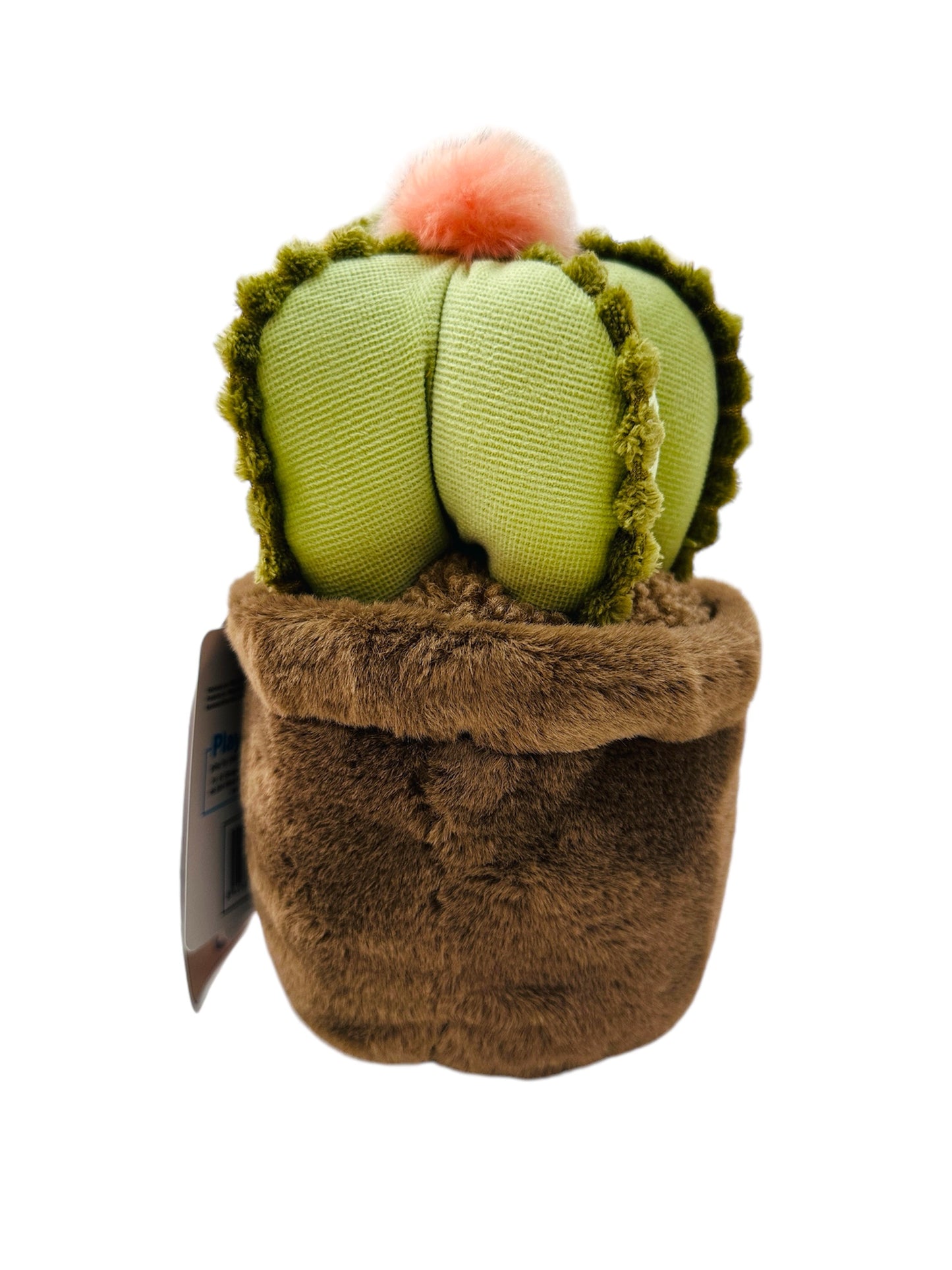 Caja dulce con Peluche soft Garden- Cactus Killa 20cm