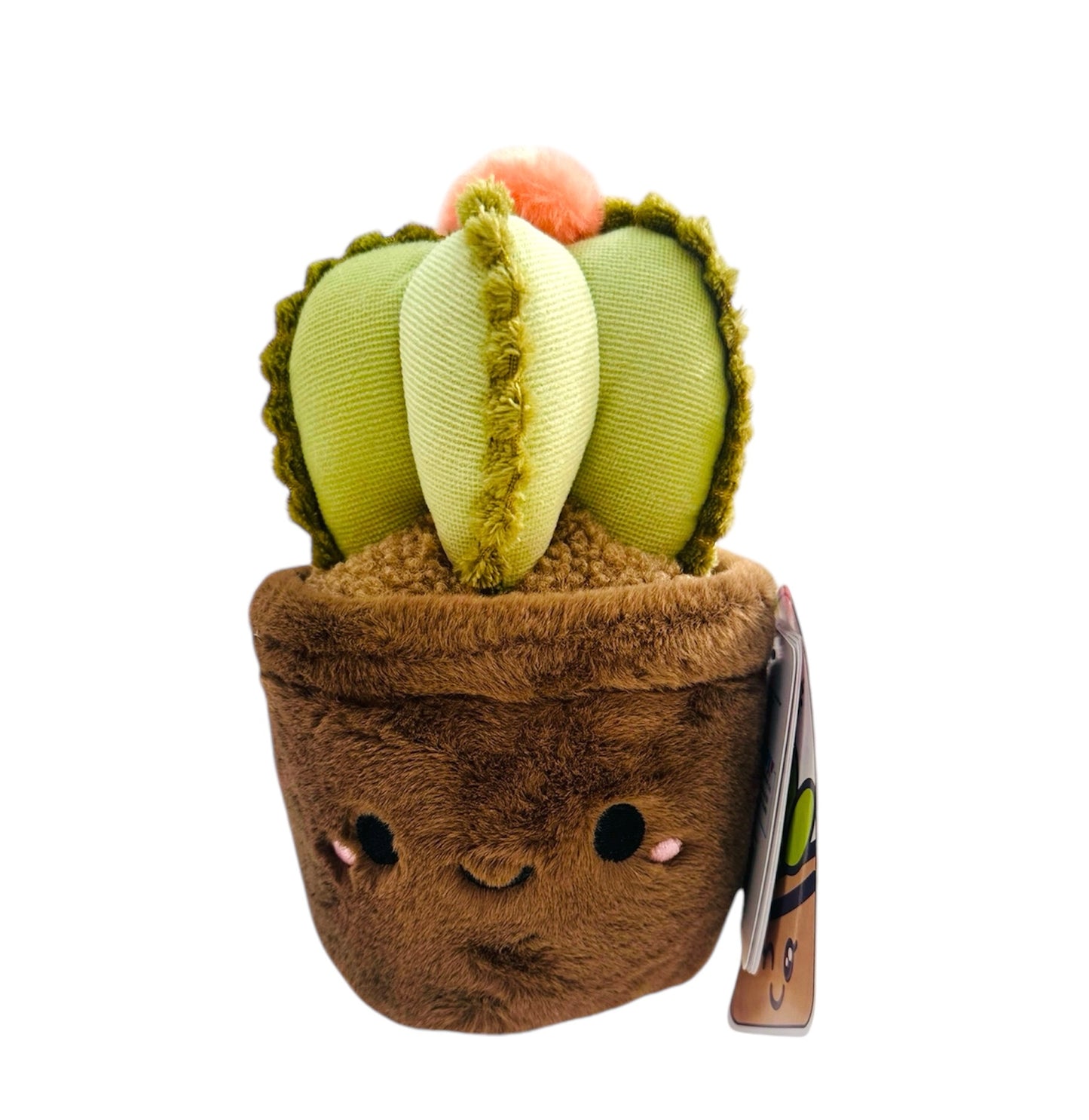 Caja dulce con Peluche soft Garden- Cactus Killa 20cm